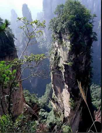 長(zhǎng)沙出發(fā)到張家界溶洞奇觀黃龍洞、國(guó)家森林公園、袁家界、峰林之王天子山三日游（早班）