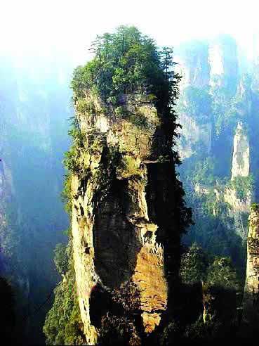 張家界國(guó)家地質(zhì)森林公園、黃石寨、金鞭溪休閑一日游