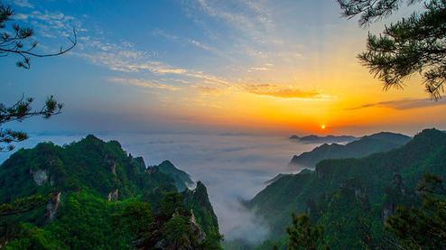 張家界森林公園（金鞭溪、袁家界、楊家界、天子山、十里畫廊）住山上2天1游（可看日出）
